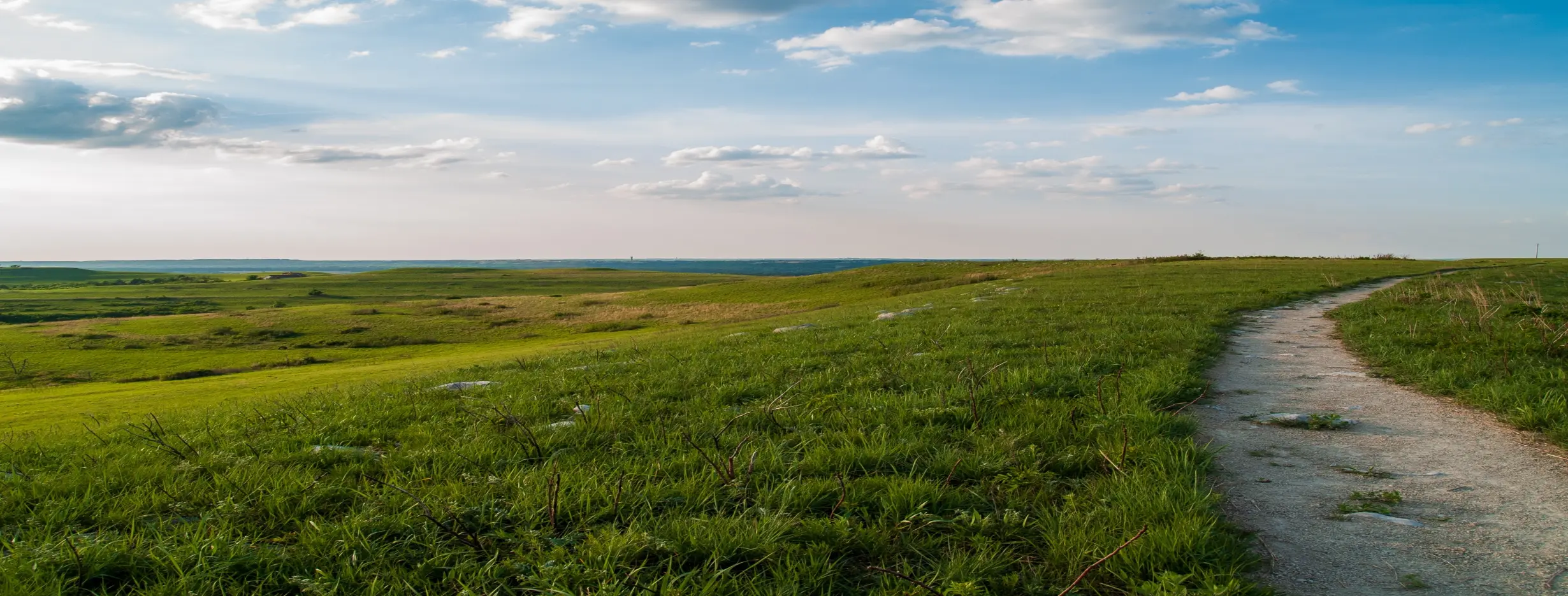 Image for Wide Open Spaces